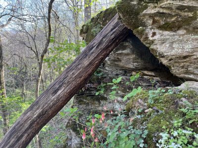 Dry Fork Bluff Arch, photo 2 of 2